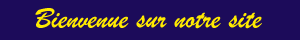 bienvenue.gif (3386 bytes)